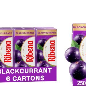 Ribena Blackcurrant Juice Drink Cartons - Multipack 6x250ml